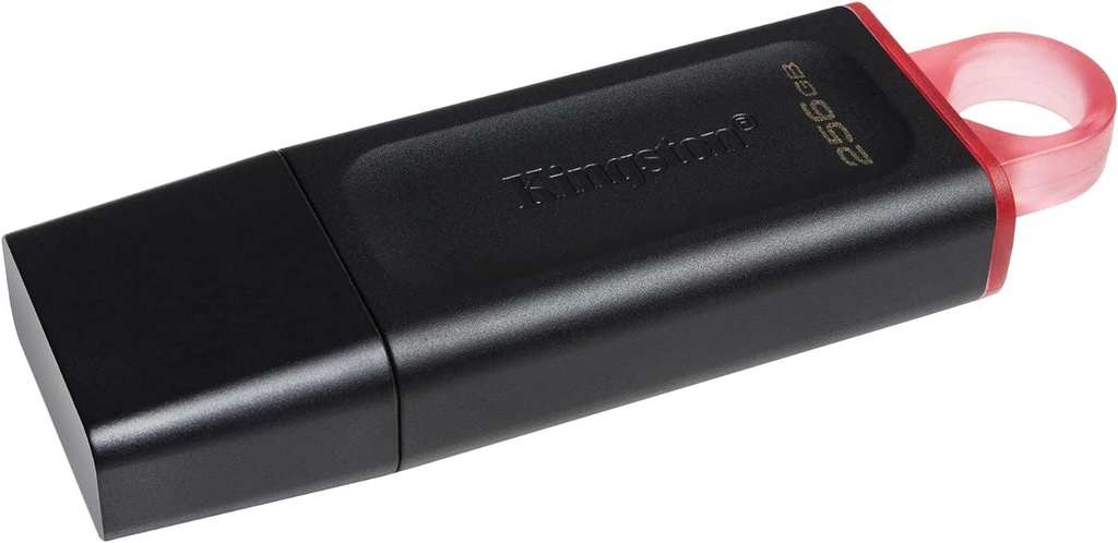 Flash Memory Kingston DTX Exodia 256Gb, Usb 3.2, G1, Negro