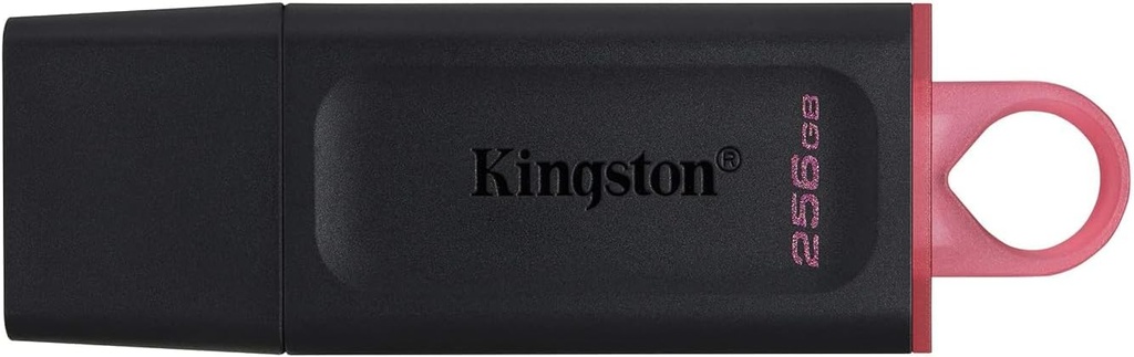 Flash Memory Kingston DTX Exodia 256Gb, Usb 3.2, G1, Negro