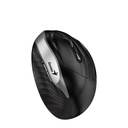 MOUSE WIRELESS GENIUS ERGONOMICO 8250 SILVER VERTICAL SILENCIO RF 2.4GHZ PILA AA X 1