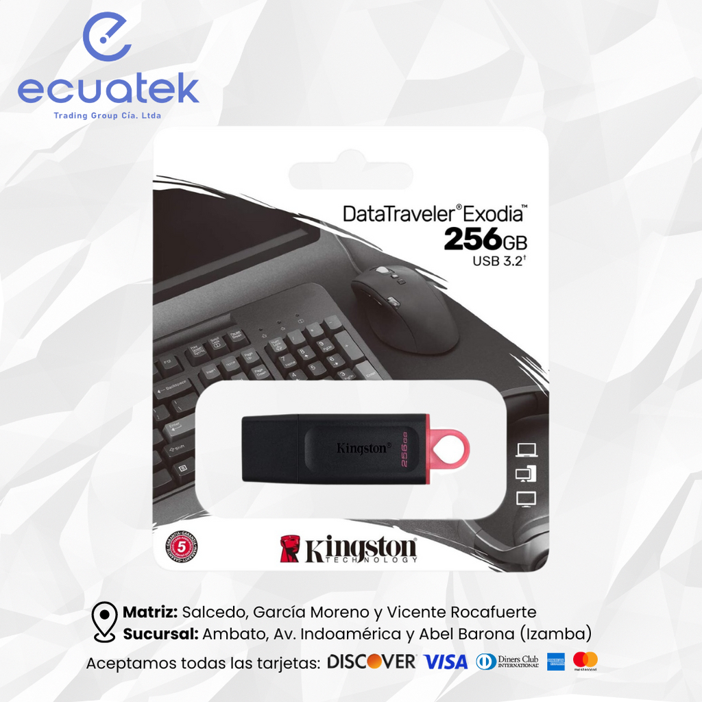 Flash Memory Kingston DTX Exodia 256Gb, Usb 3.2, G1, Negro