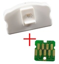 Reseteador C13S210057/SC13MB T2100 T3100 T5100 F500